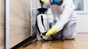 Best Pest Prevention Services  in Blountville, TN